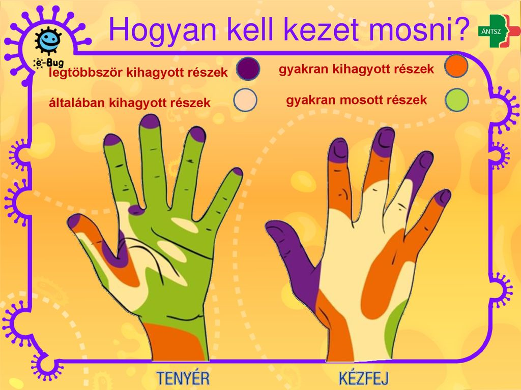 A COVID-19 és egyéb járványok esetén a rendszeres és alapos kézmosás nem egyszerűen csak fontos, de kötelező.