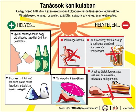 Tanácsok kánikula idejére
