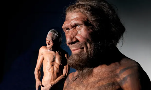 A neandervölgyi-emberek feltehetően inkább szálkásak és alacsonyak voltak.