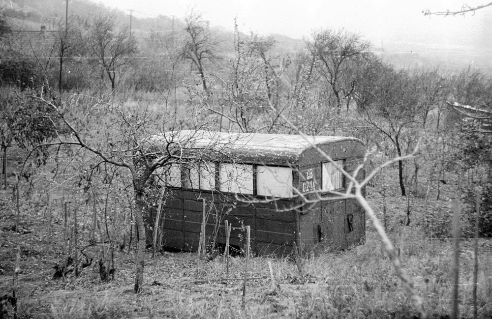 Már 1972-ben eladásra hirdettek víkendháznak is alkalmas fakaruszt a nyéki Öreg-tónál