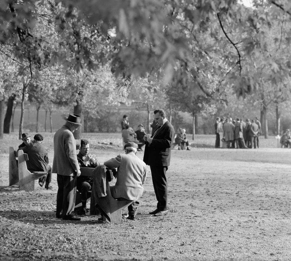 Kártyázó férfiak a Városligetben, 1969