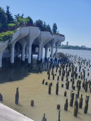 Az új és a régi: a Little Island óriásgombái a régi móló vízben álló cölöpjei mellett