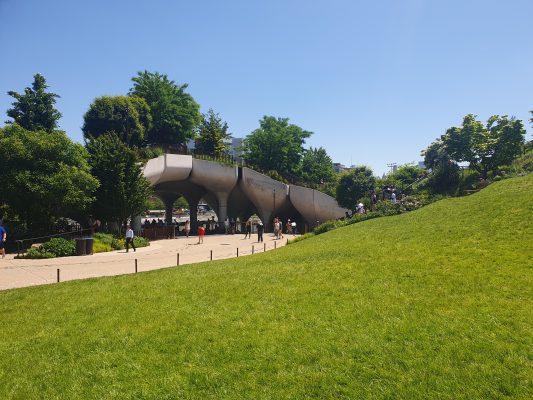 A gyep csodás, a fák között pedig már 18 méteresek is vannak