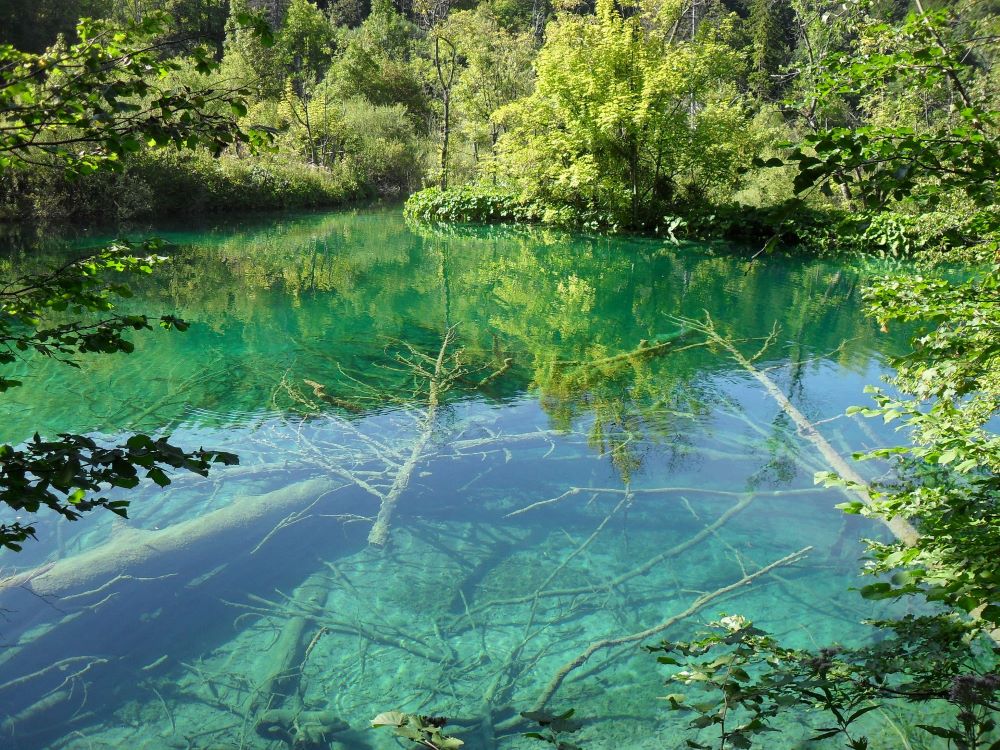 A Plitvicei Tavak Nemzeti Park